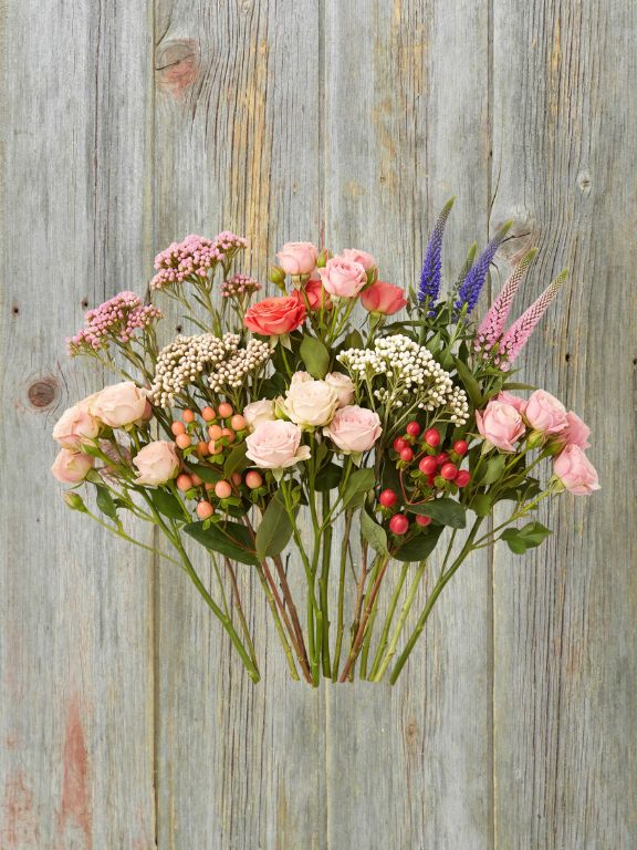 ECUADOR GROWN ASSORTED FLOWERS COMBO BOX PC